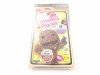 THE LITTLE BIG PLANET. PSP